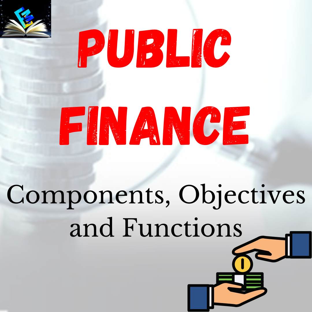 Public Finance