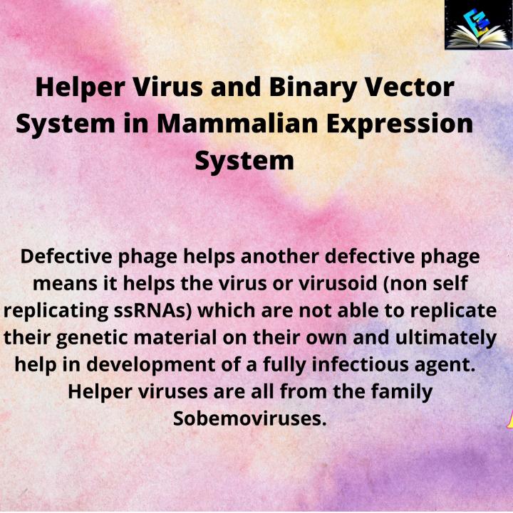 Helper Virus