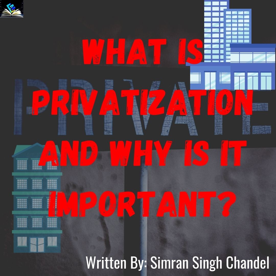 Privatization