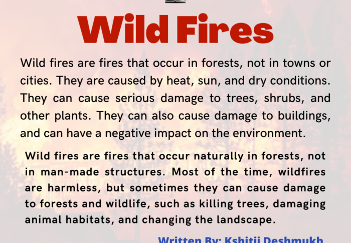 Impact of Climate Change on Wildfires